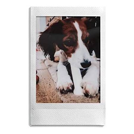 Fujifilm INSTAX MINI INSTANT FILM 10x2 bipack pellicole istantanee
